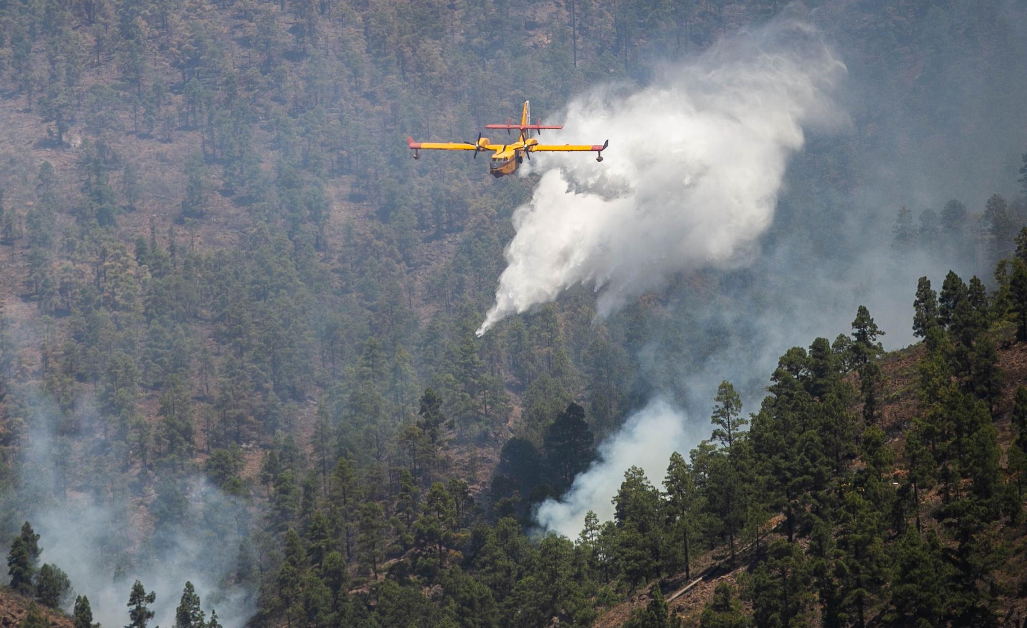 Incendio en Arico