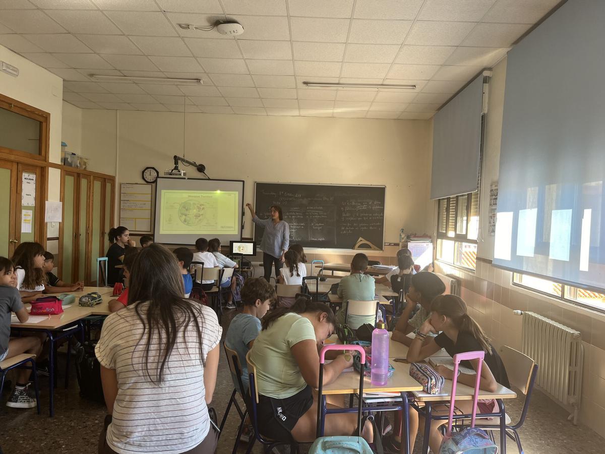 Alumnos siguen las enseñanzas en un aula.