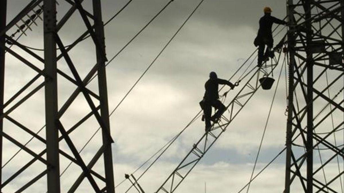 El fiscal se querella contra Endesa por la muerte de aves electrocutadas