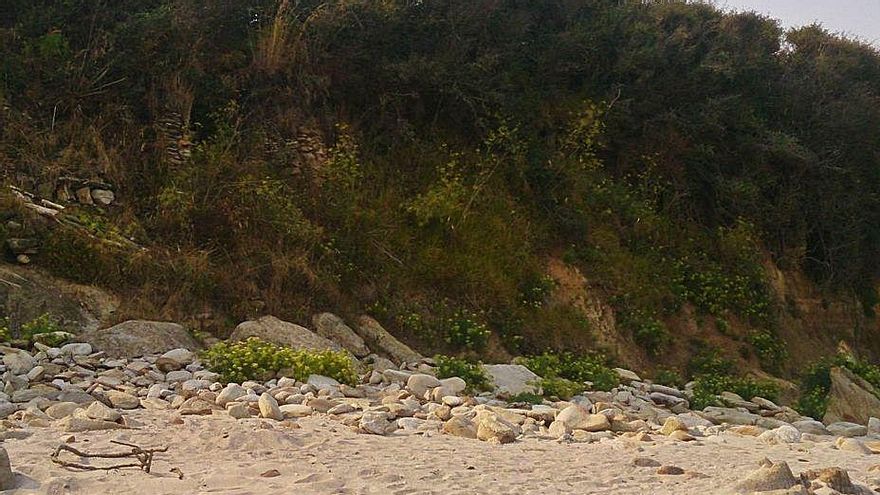 Una vista del cantil de la playa de Canexol, en Ons, donde estaría la antigua salazón. |   // UVIGO