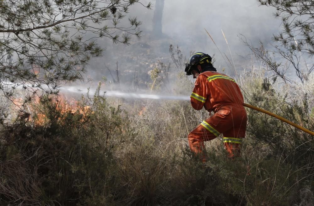 Incendio forestal en Carcaixent