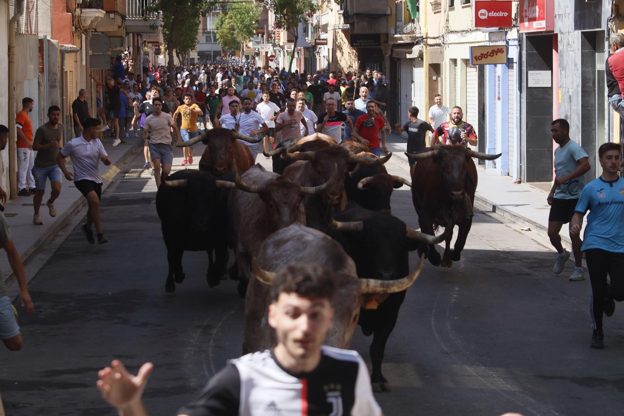 Fiestas de Sant Pere 2023: Las mejores imágenes del encierro de cerriles en el Grau de Castelló