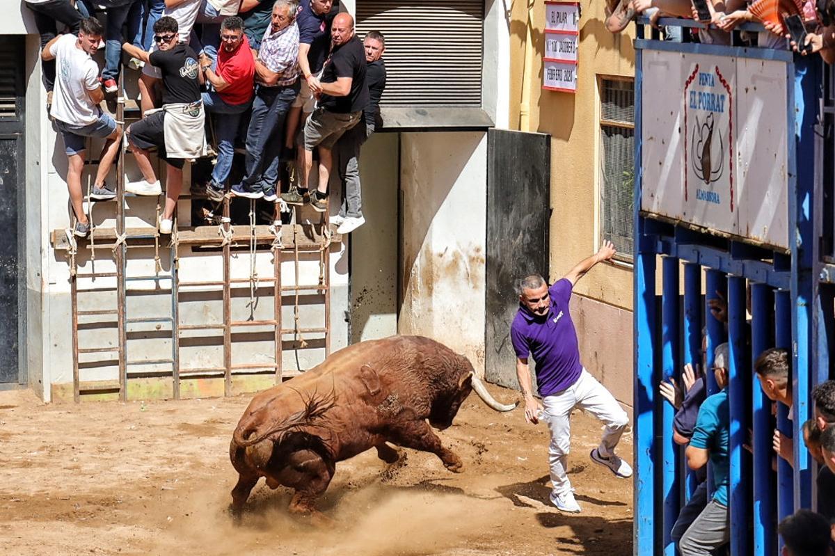 El mismo toro ha estado a punto de protagonizar otra cogida nada más salir de corrales a la plaza Mayor.
