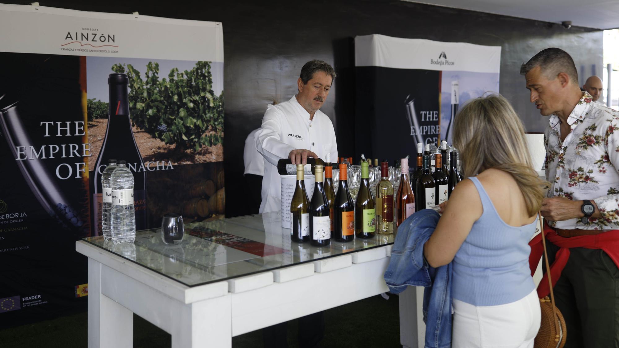 Muestra de garnachas de la DO Campo de Borja