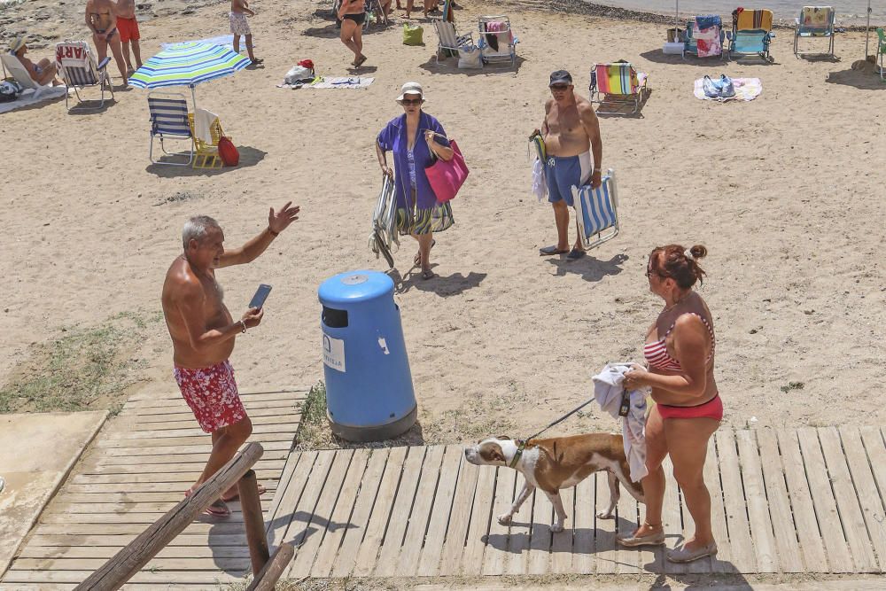 Los bañistas aseguran que no están en contra de la medida pero reclaman que se zonifique la playa para usuarios con perros y sin perros