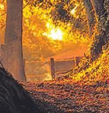 En imágenes, el espectáculo natural que se esconde en Llanera