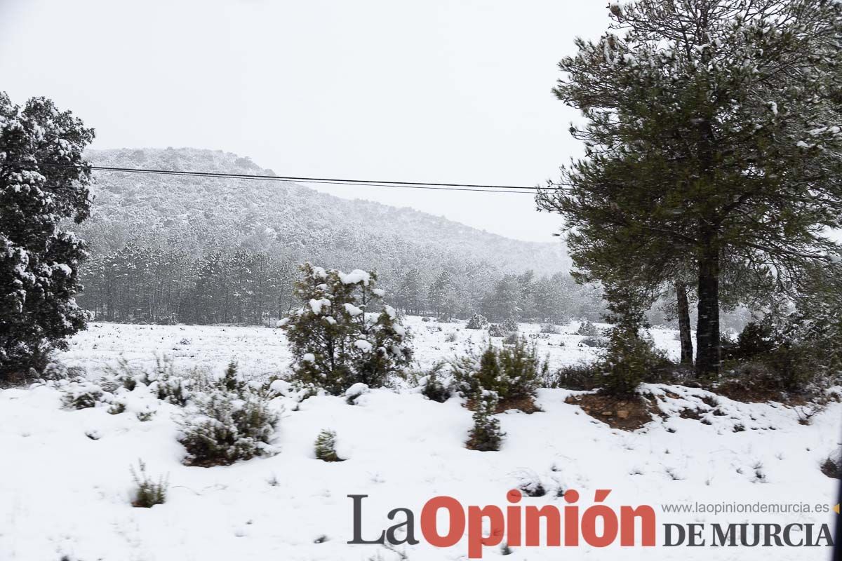 Continúa la nevada en las zonas altas de la comarca del Noroeste