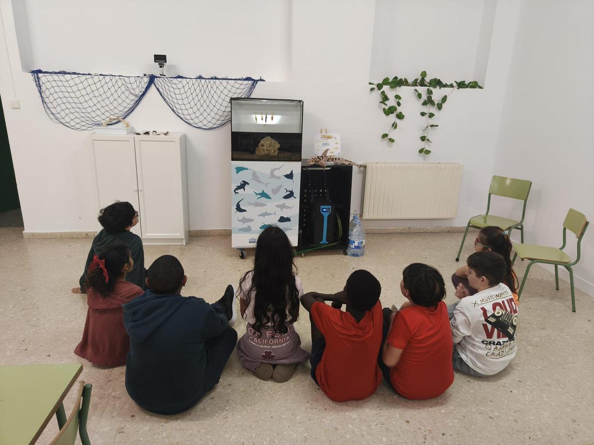 Alumnado del Rey Pelayo en el aula.
