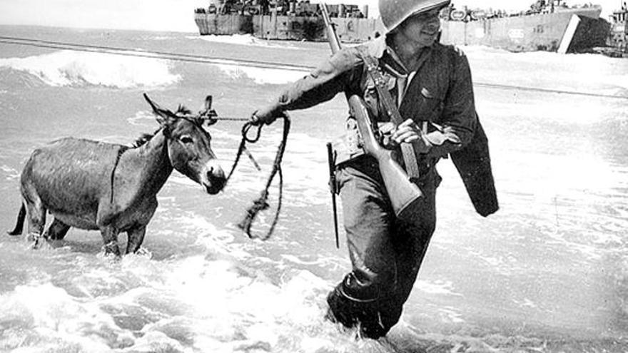 El desembarco de un soldado americano, tirando de un pollino, en una foto de Capa.