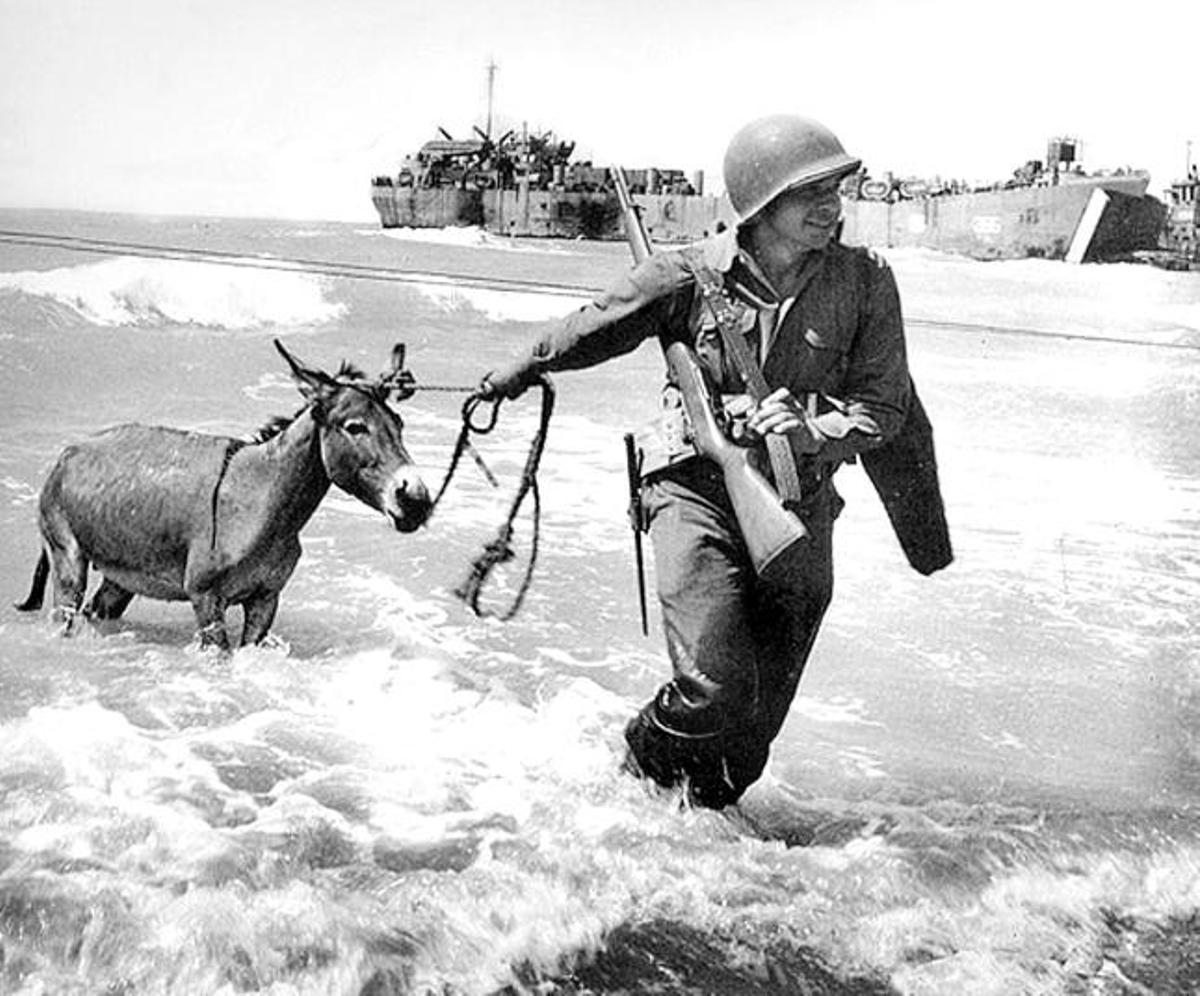 El desembarco de un soldado americano, tirando de un pollino, en una foto de Capa.