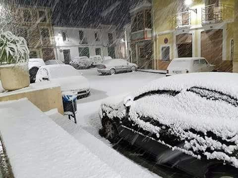 Nevada en Murla.