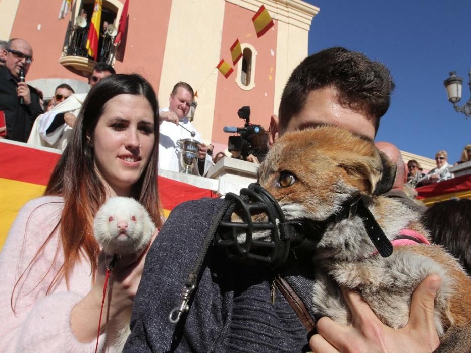 Los vecinos de Cartagena se han acercado junto a sus mascotas a recibir la bendición