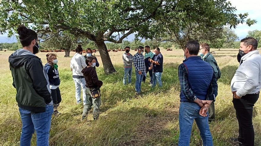 Alumnos de los Centros de Formación del Medio Rural conocen in situ  la dehesa extremeña junto a sus profesores.