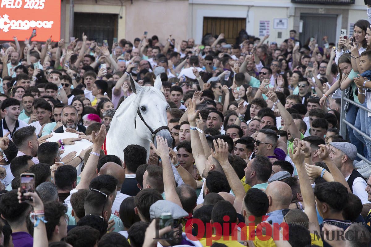 Fiestas de Caravaca | Entrega de premios del concurso morfológico