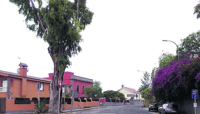 Monte Lentiscal, después de la tala de árboles centenarios.