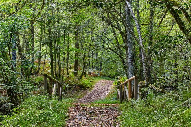 Muniellos, Asturias