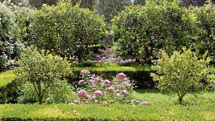 Mallorca-Blüten für jede Tageszeit