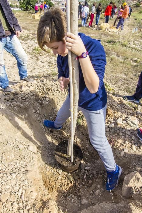 Proyecto para convertir la cantera de Cox en zona verde