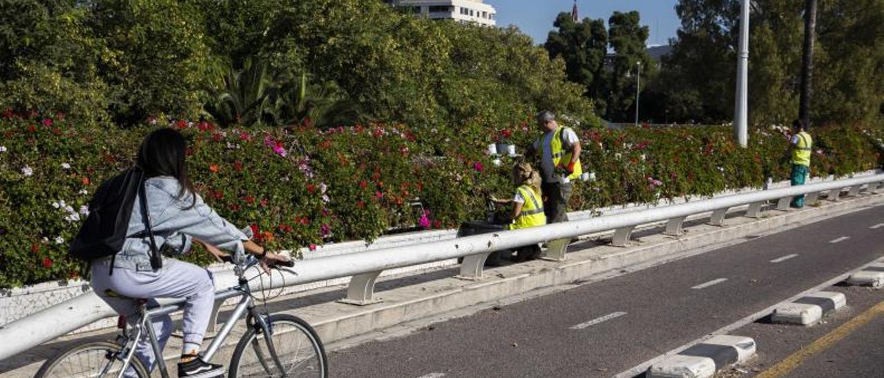 Tres operarios reponen las flores marchitas en el Puente de las Flores. | GERMÁN CABALLERO