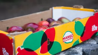 Nueva imagen para la comercialización de más de 100.000 kilos de mangos de La Gomera