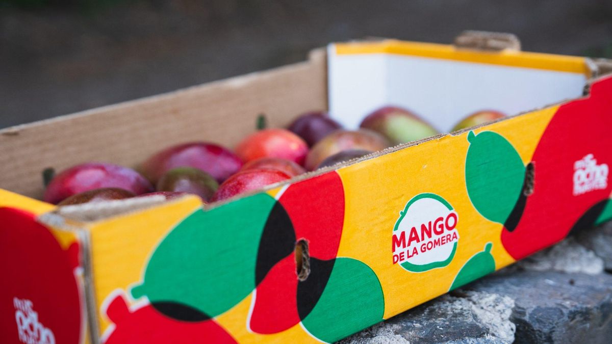 Nueva imagen para la comercialización de mangos.