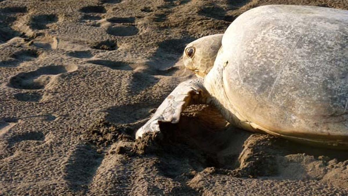 Los 10 mejores viajes para este verano