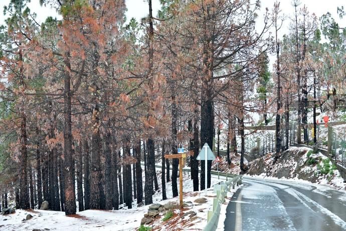 NIEVE CUMBRE GRAN CANARIA