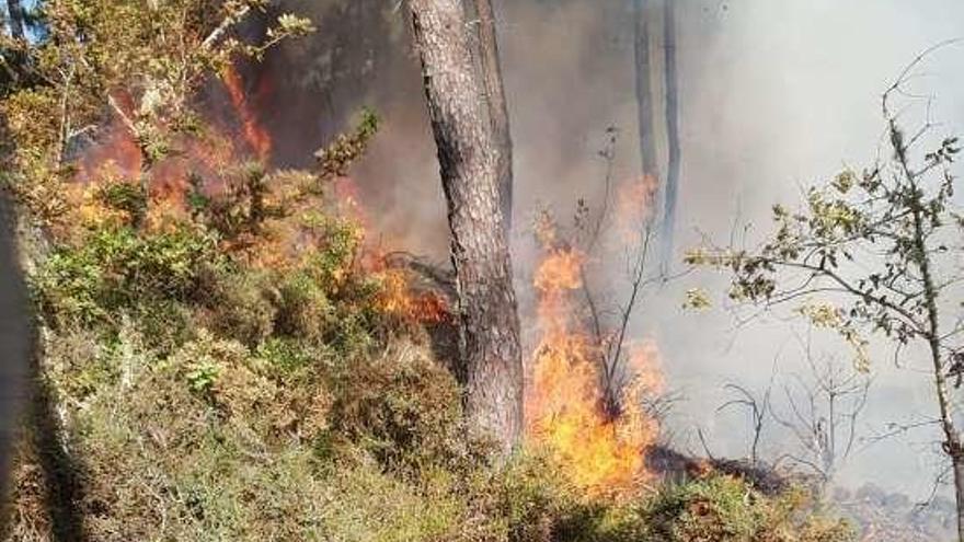 El fuego de Cartelle se inició por las chispas de un cable. // FdV