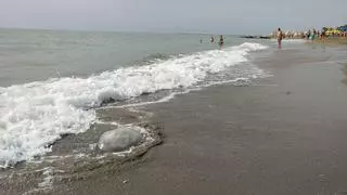 El agua del mar en Málaga se calienta y alcanza temperaturas récords