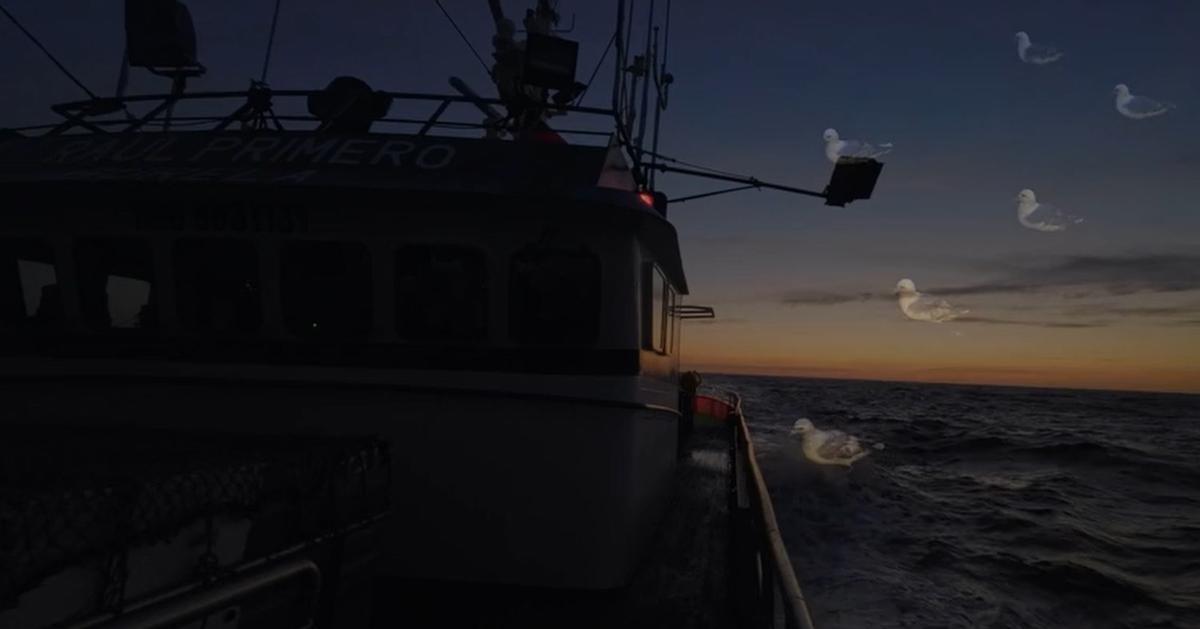 Fotograma de "Fomos ficando sós", de Adrián Canoura que se pode ver no Play-Doc.