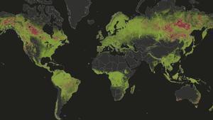 érdida de cobertura arbórea debido a incendios visualizados en el mapa GFW, 2001-2021.