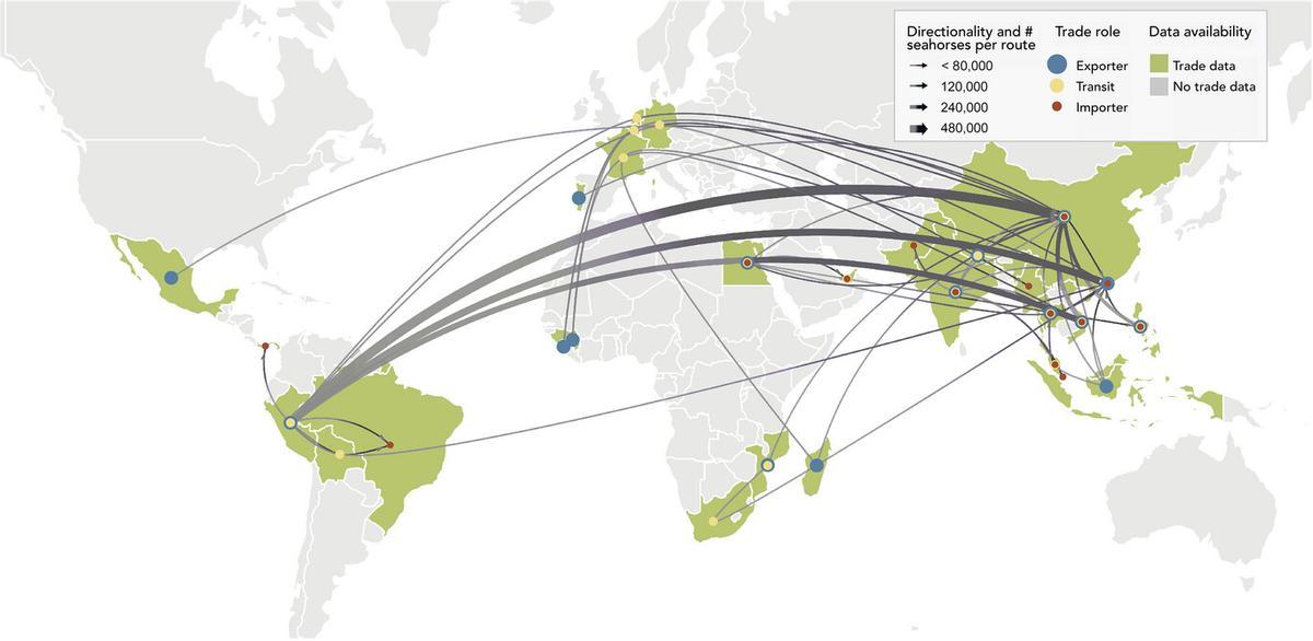 Mapa con los movimientos del tráfico ilegal