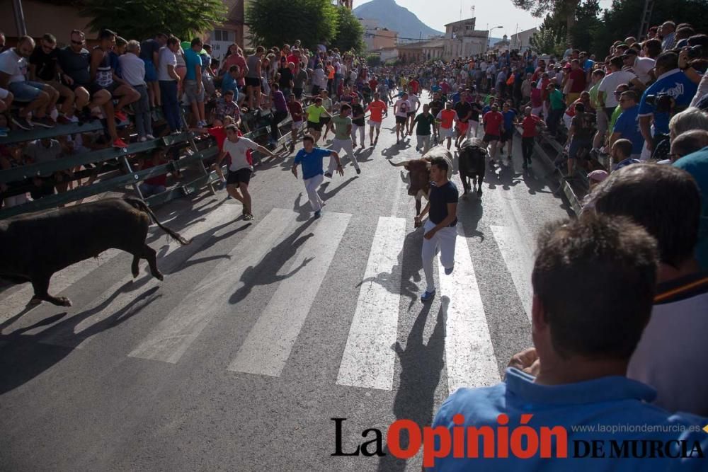 Segundo encierro de Calasparra