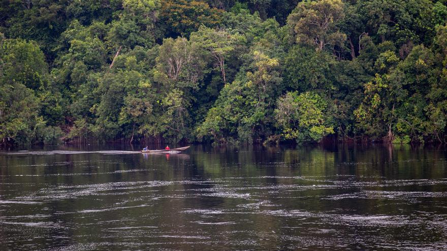 Muere el &#039;Indio del Hoyo&#039;, el último indígena aislado de Brasil