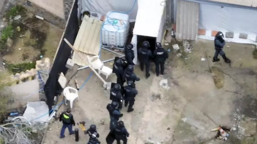 Destapan una plantación de marihuana después de que una mujer huyera de una finca en Murcia donde estaba siendo víctima de violencia de género