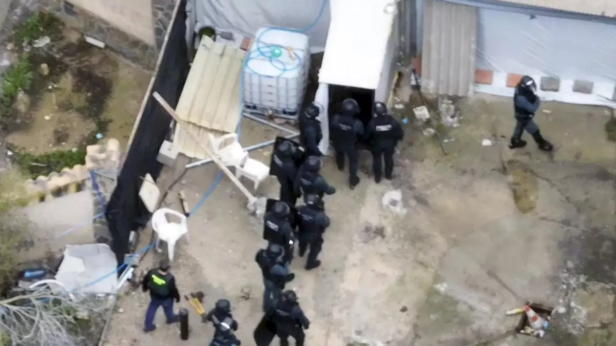 La fuga de una mujer víctima de violencia de género en Murcia conduce al hallazgo de 700 plantas de marihuana