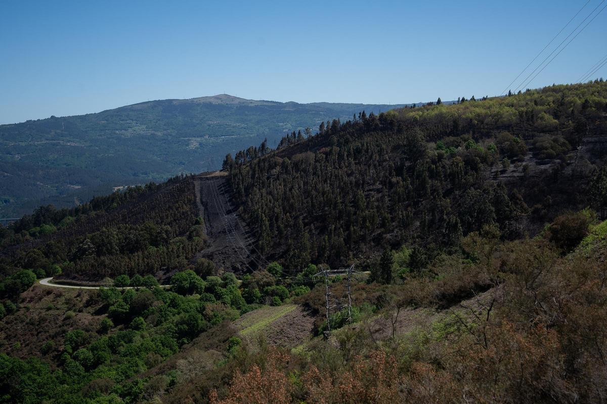 El tiempo seco y el viento favorecen los incendios, como el que este lunes afectó el municipio pontevedrés de Crecente arrasando 17 hectáreas de monte