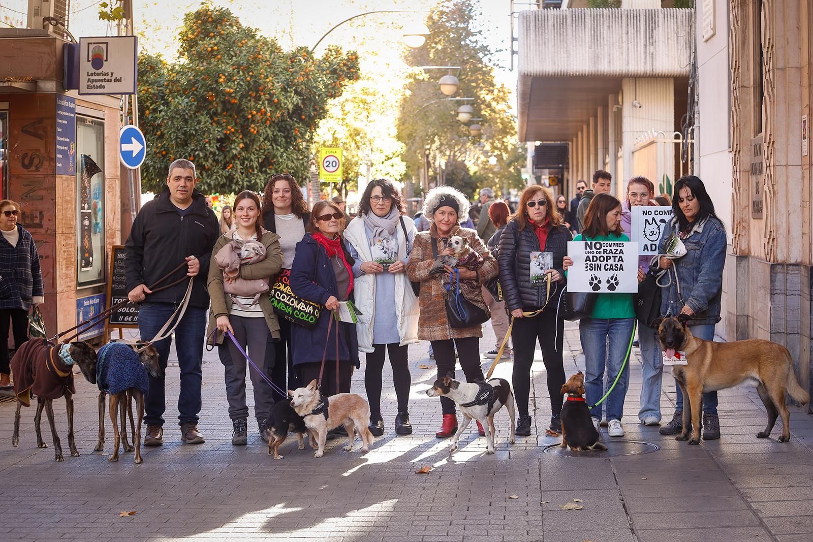 Un paseo con perros para fomentar la adopción