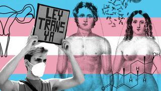 Moncloa precisa que el Gobierno aún no ha consensuado la ley trans
