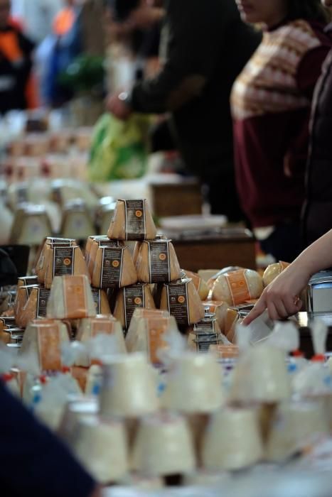 Certamen de queso afuega'l pitu en Morcín