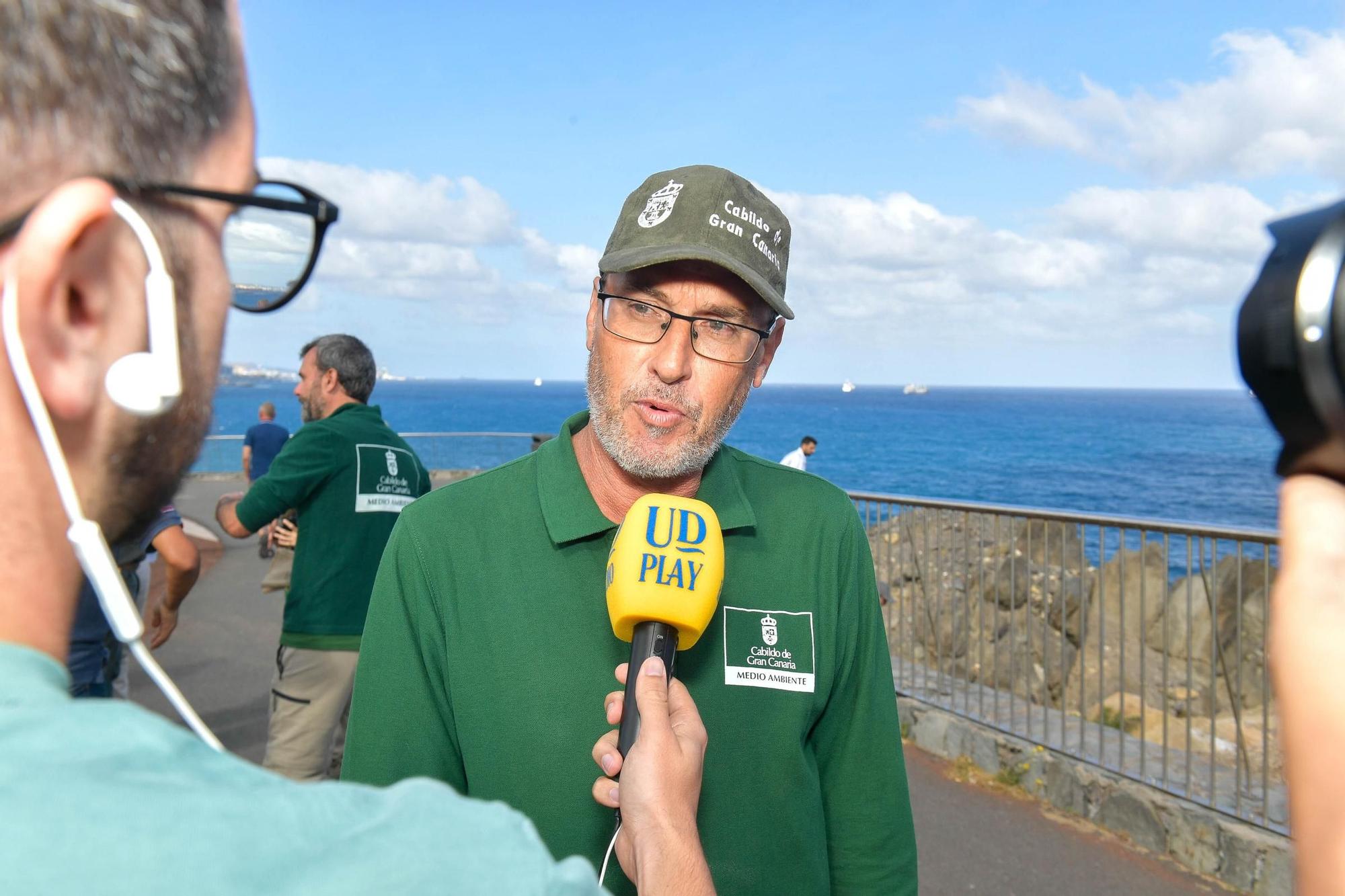 Benito y Fabio sueltan dos pardelas en el Mirador del Tritón