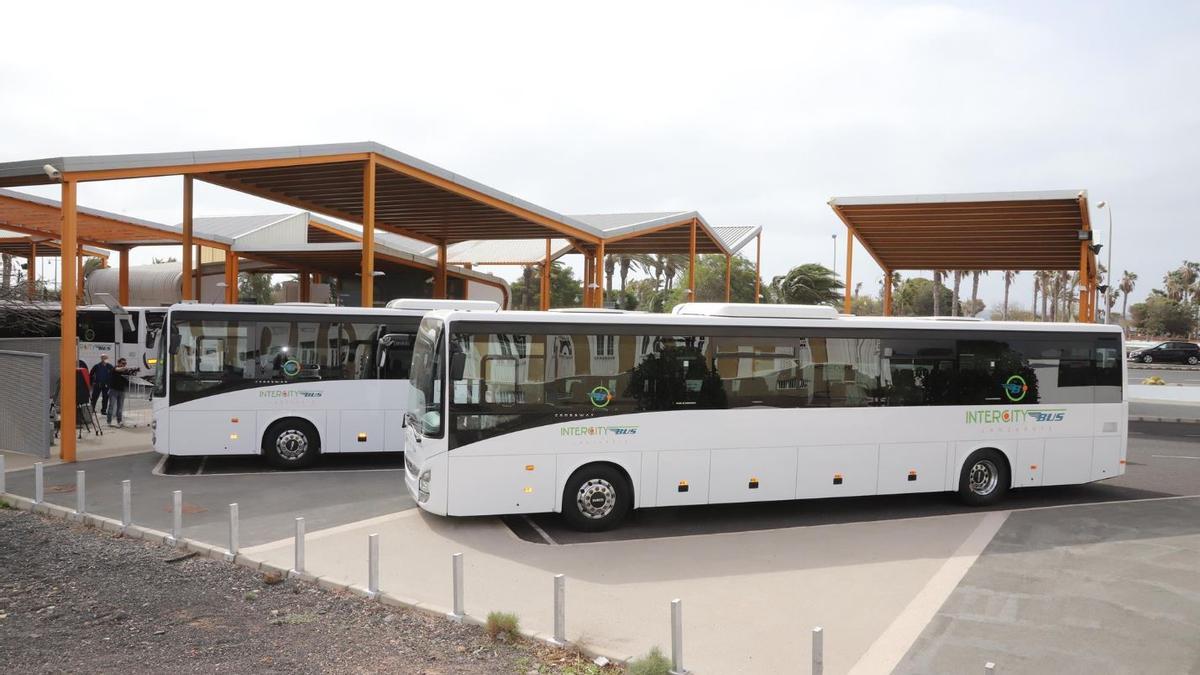 Guaguas del transpore público interurbano en Lanzarote en el intercambiador junto al Cabildo, en Arrecife.