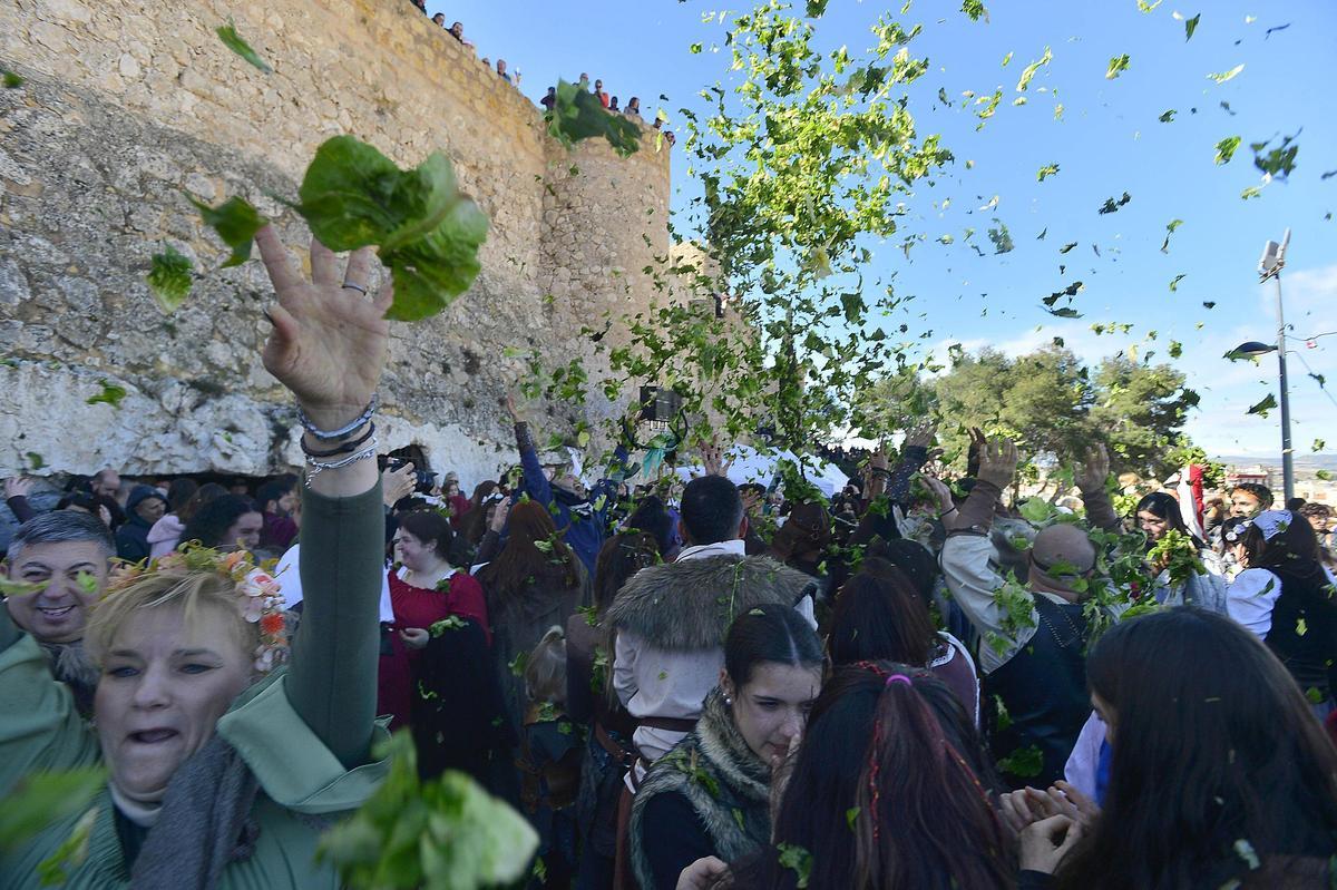 Lechugas al cielo para una batalla campal en Villena