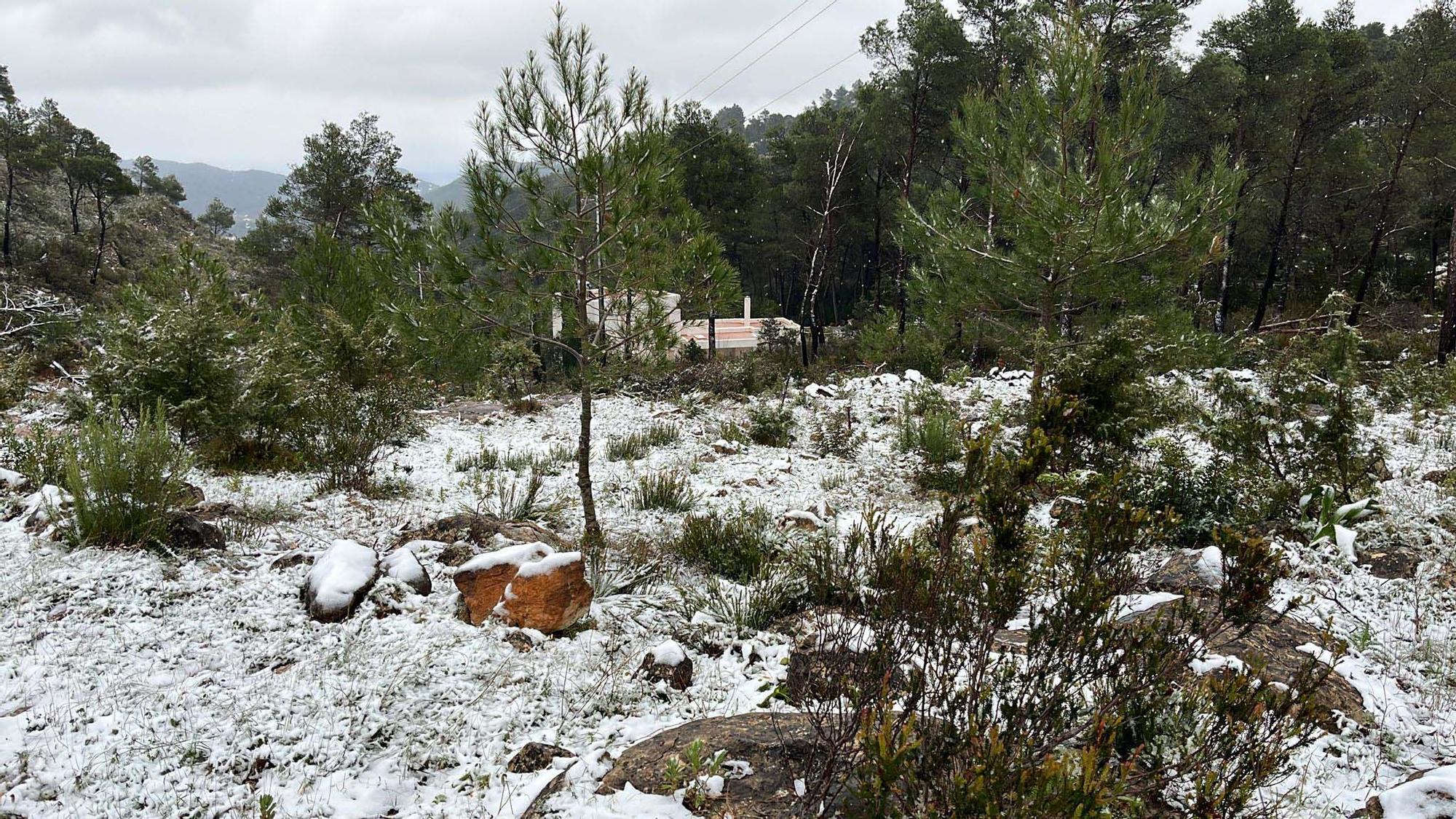 Galería de imágenes de la nevada por la borrasca Juliette en Ibiza