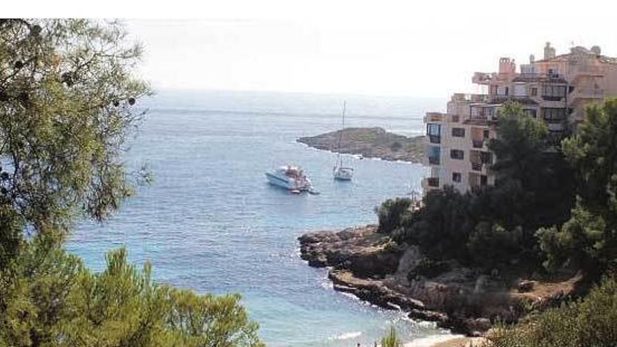 Bis zu 26 Grad: Mallorca darf sich auf tolles Frühlingswetter freuen
