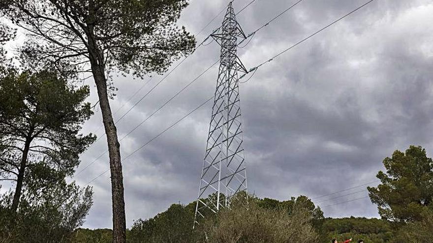 Una de las torres eléctricas en la zona boscosa de Son Puig.