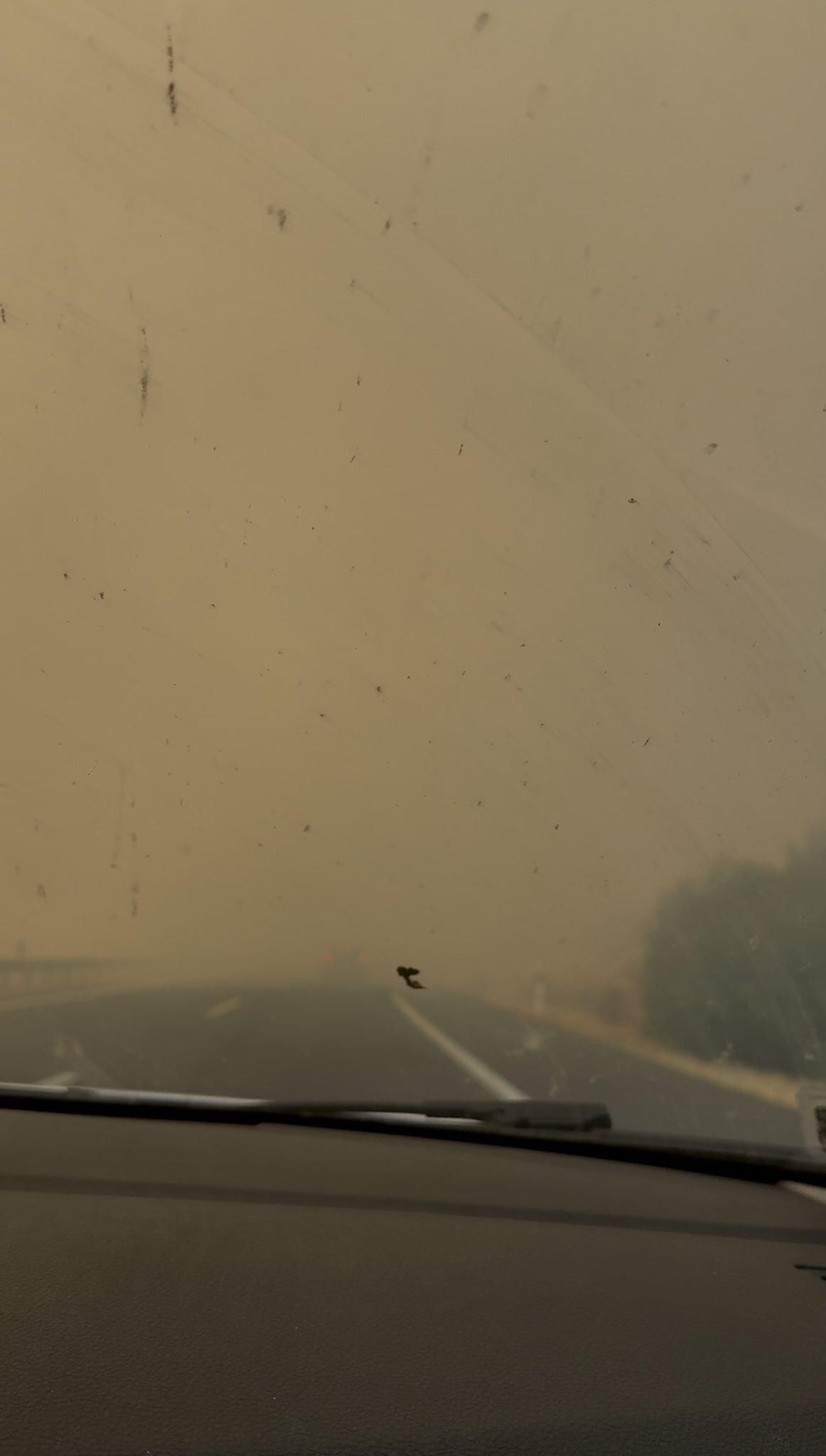 Un incendio forestal en Cáceres corta la A-66