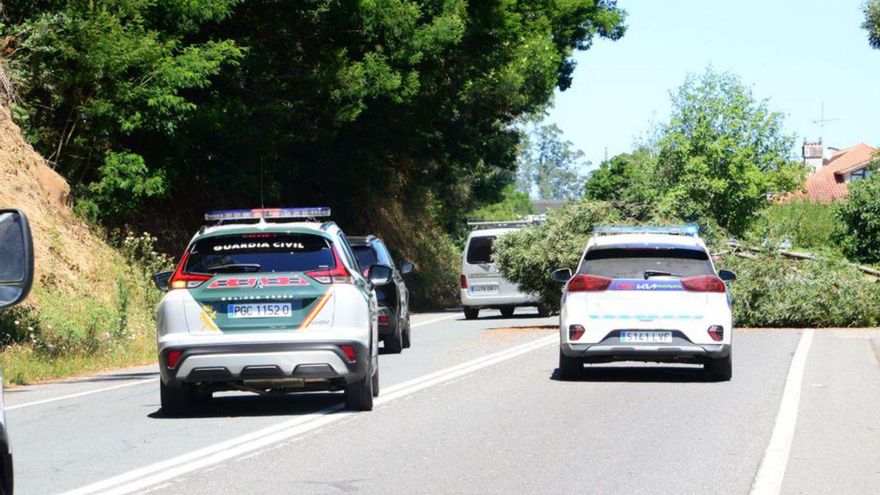 Los árboles bloquearon un carril al tráfico. | G.Núñez
