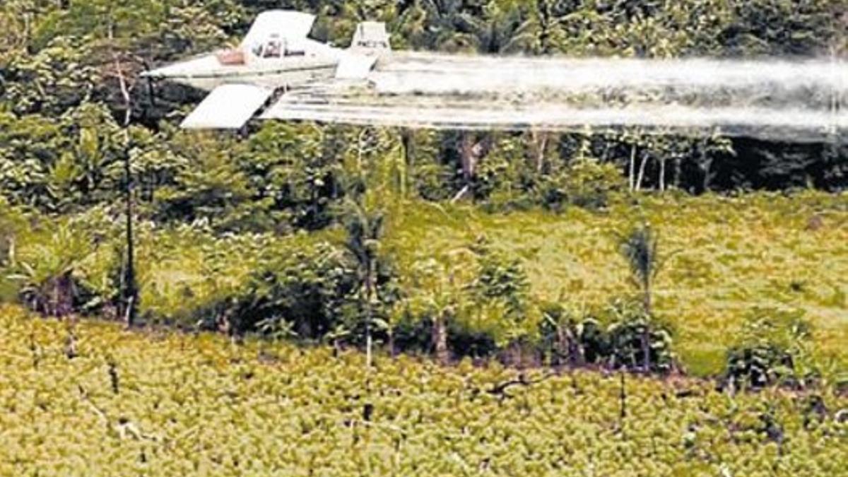 Un avión fumiga con glifosato una plantación en Colombia.