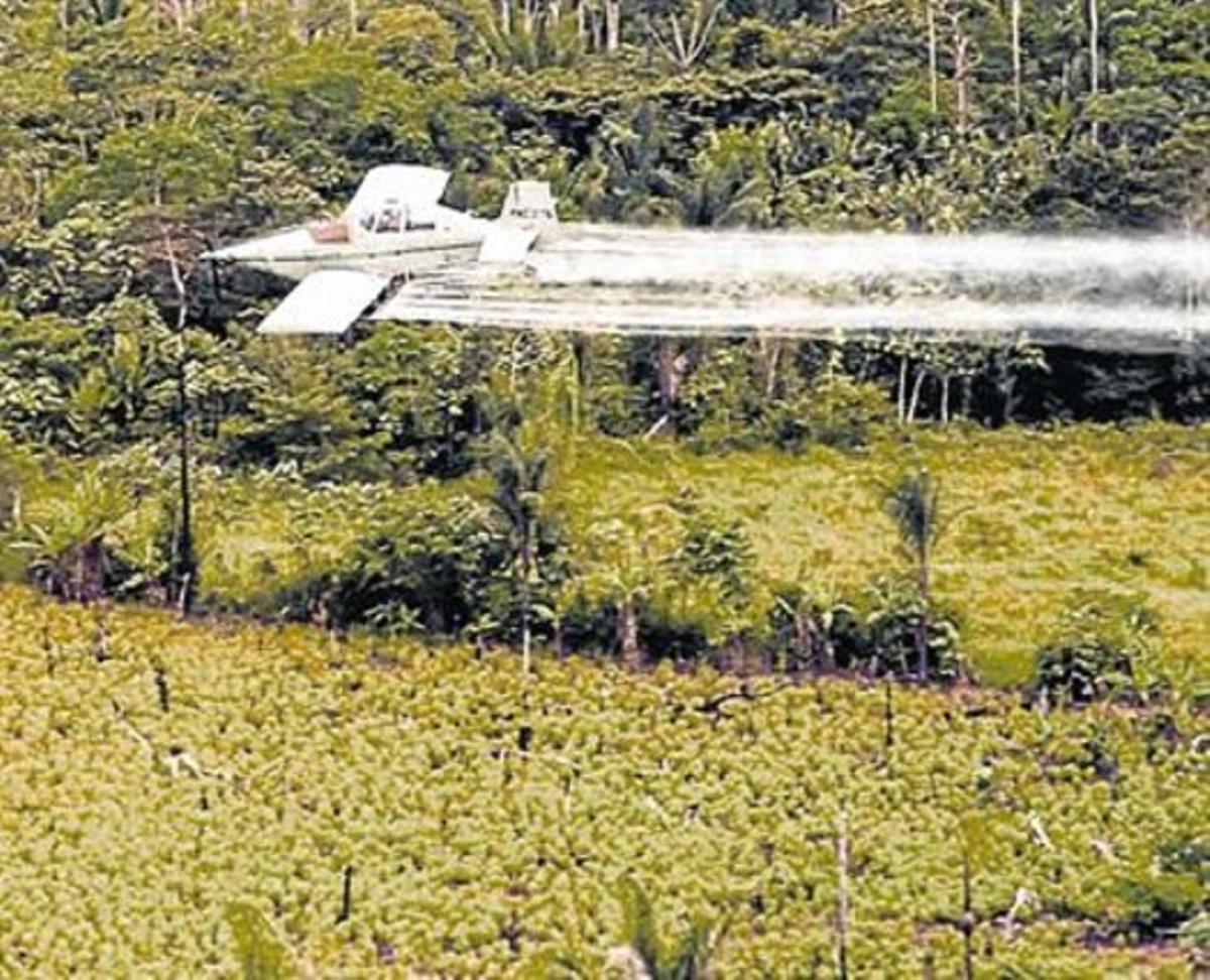 Un avió fumiga amb glifosat una plantació a Colòmbia.